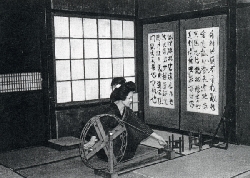 華岡青洲の妻