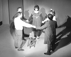 ネコとカーネーション物語